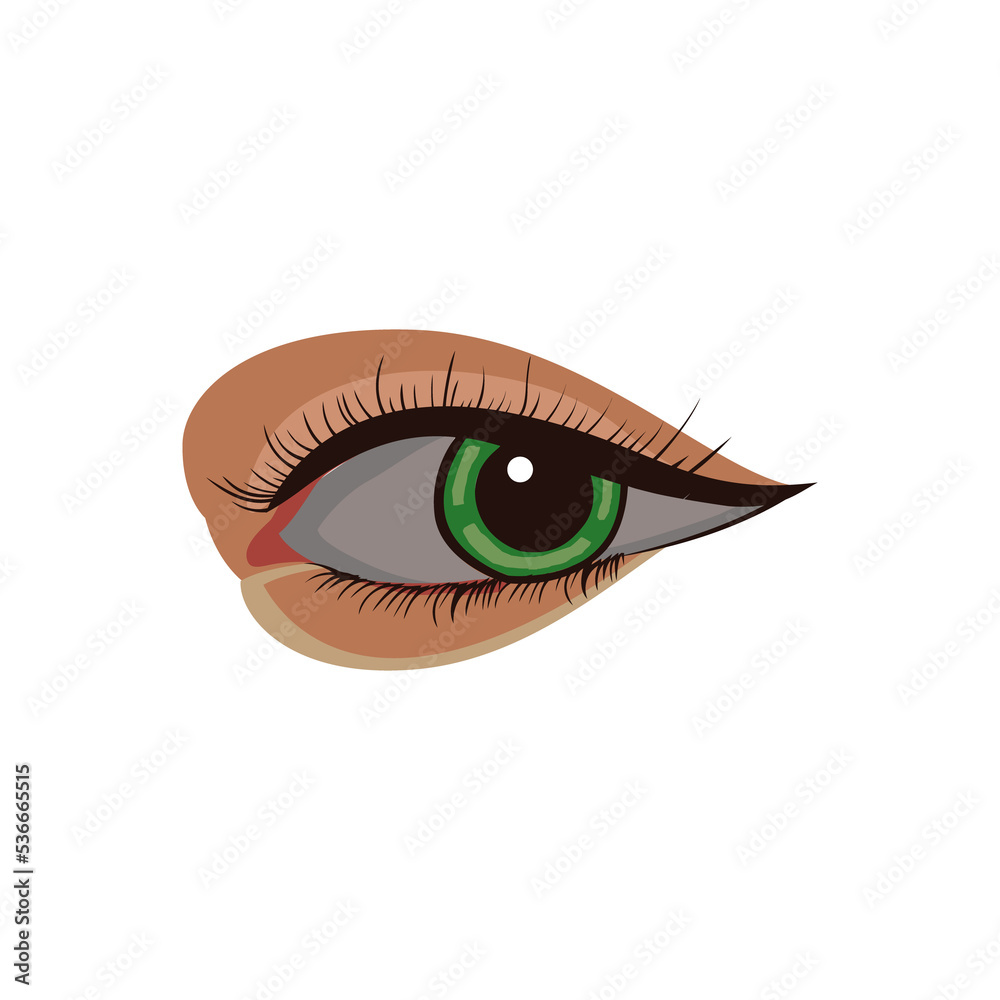Beautiful eye illustration Isolated on png transparent background Beautiful eye illustration Isolated on png transparent background