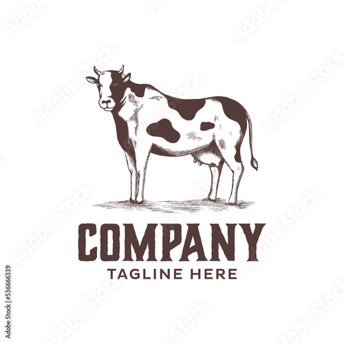 Cow logo design. Company logo with sketch illustration of dairy cow
