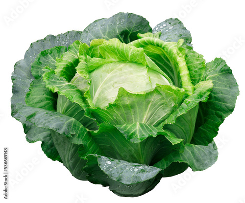 Foto green cabbage head isolated on white background