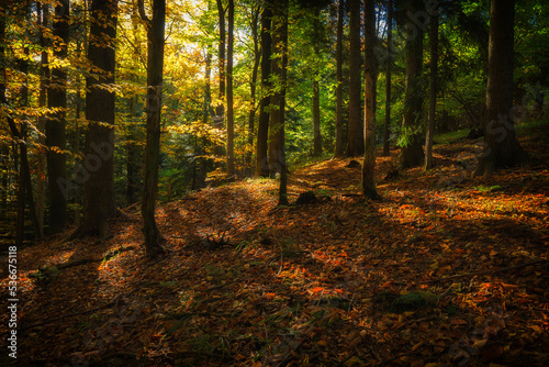 Fototapeta Naklejka Na Ścianę i Meble -  Autumn in the Little Beskids on a sunny day