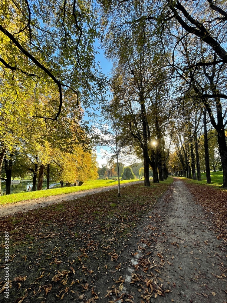 autumn in the park