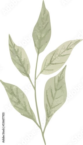 watercolor leaf minimal design 