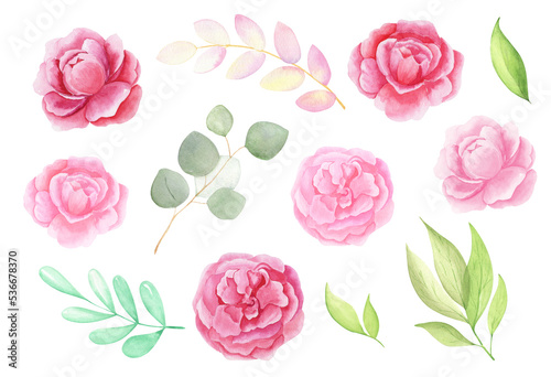 Watercolor set of pink peonies and lieves, isolated on transparent background © Ірина Омелянчук