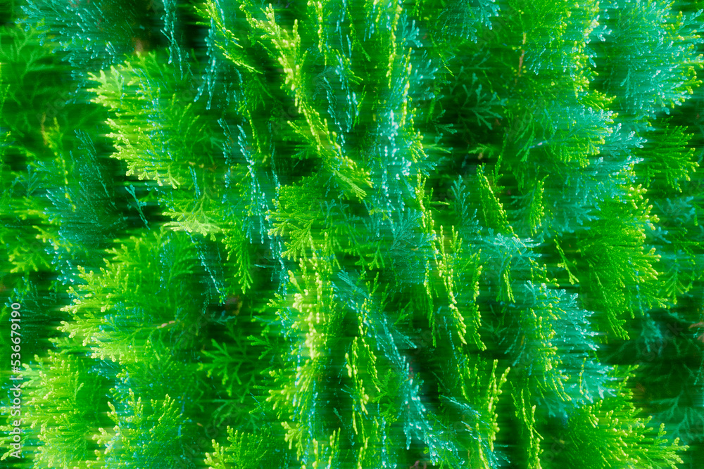 Abstract green texture with bright colour of wallpaper paint.