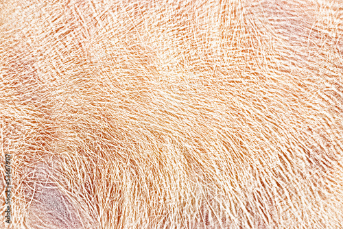 Abstract texture colour with retro material wallpaper paint.