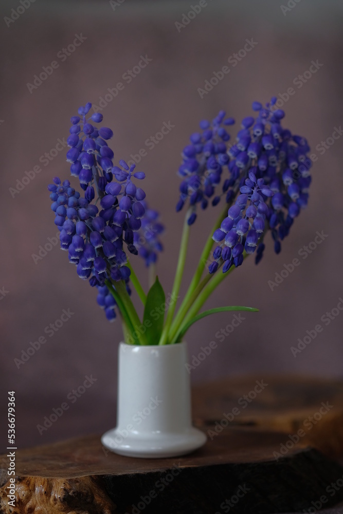 Blue mascari flowers in a white ceramic stack