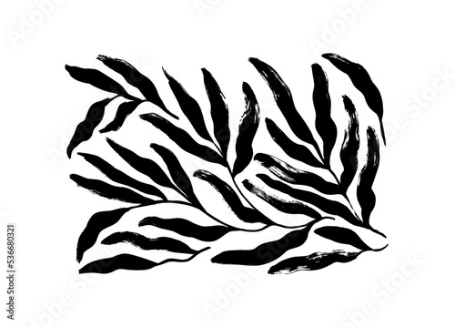 Tropical leaves in naive style. Dry brush drawn branches with long rounded leaves. Black paint vector illustrations set. Botanical silhouettes isolated on white background. Rustic style drawing. 