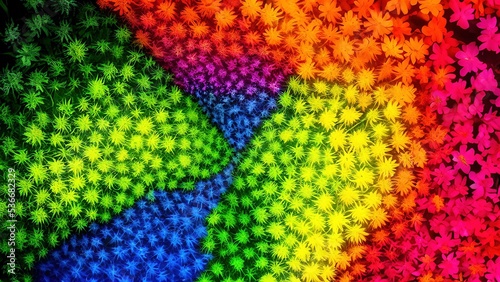 Rainbow flowers  macro photography  illustration