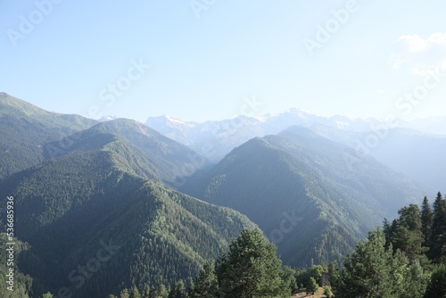 Aerial view of beautiful landscape with mountain forest on sunny day