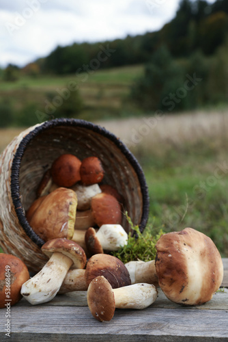 Fresh wild mushrooms on wooden table outdoors