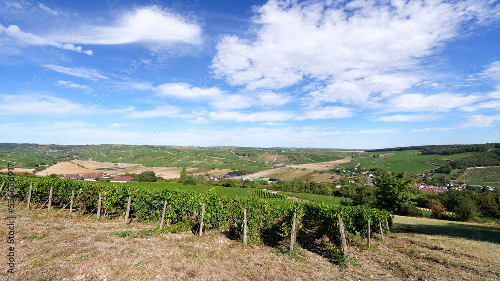 Vineyards in hills of Sancerre village. Loire valley