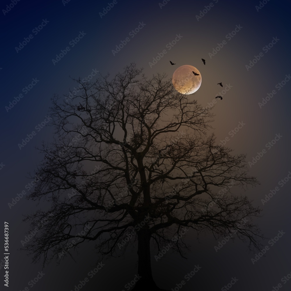 Happy Halloween horror scary night tree background Happy Halloween horror scary night tree background