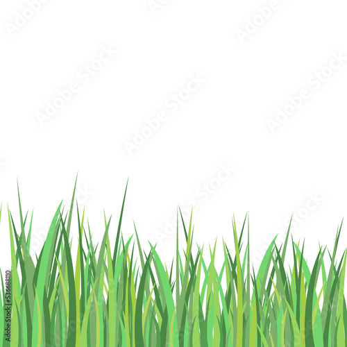 Green Grass Meadow Border Illustration Pattern Spring Or Summer Lawn Lawn Grass Background