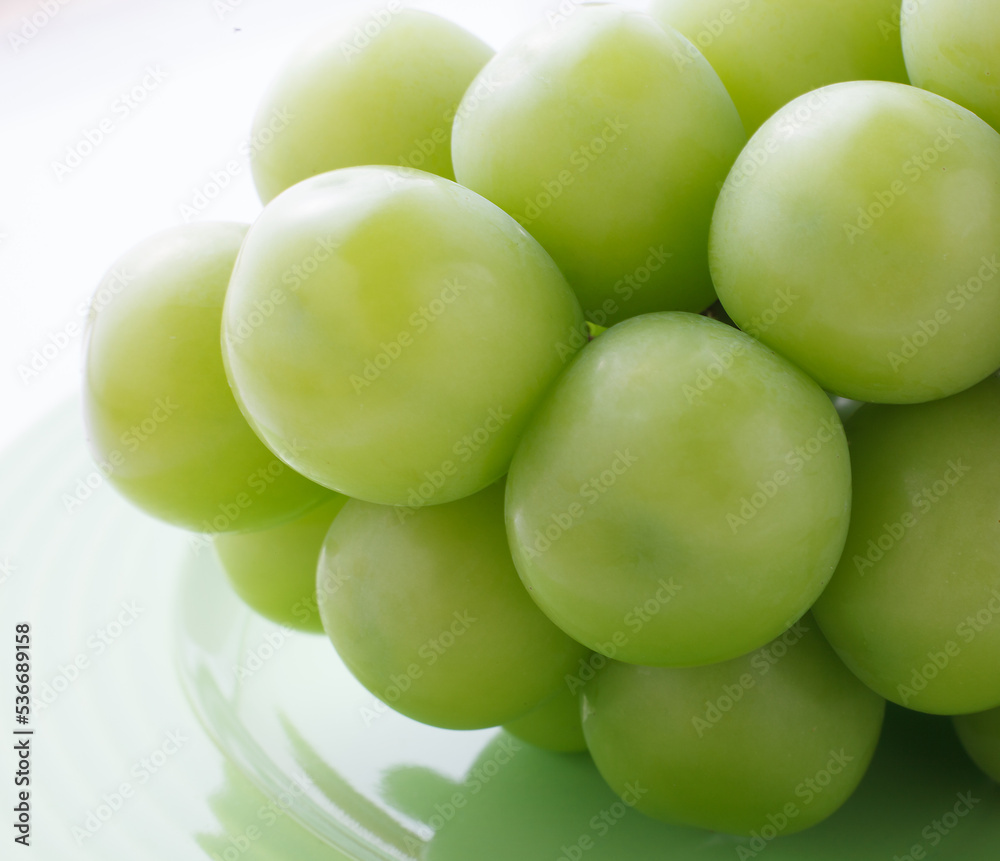 シャインマスカット　白バック