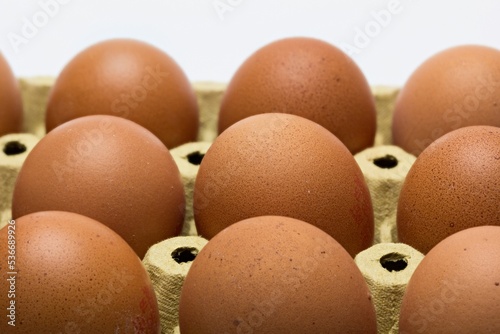 Huevos en la huevera de cartón photo