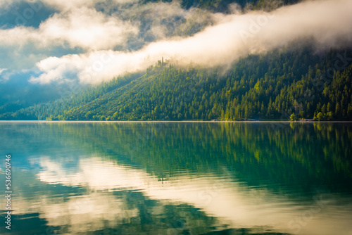 Wald und Berge am See im Nebel