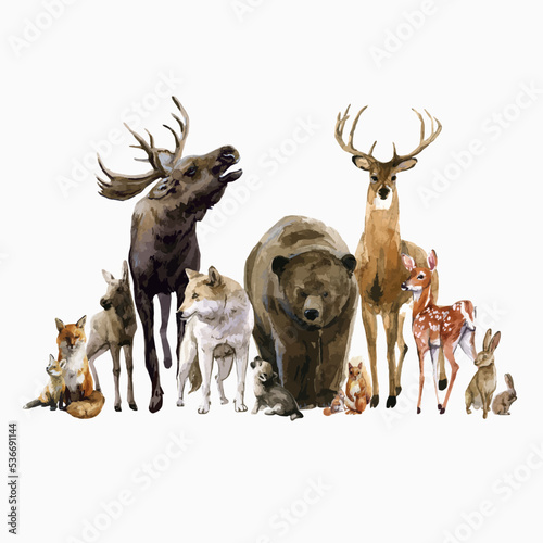 Beautiful vector composition with watercolor hand drawn forest wild deer elk fox bear wolf rabbit squirrel animals with babies. Stock illustration. © zenina