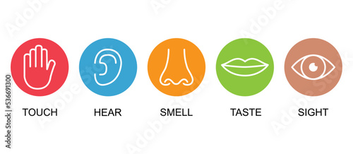 Outline icon set of five human senses: vision eye smell nose hearing ear touch hand taste mouth with tongue