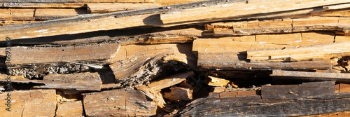 Panorama of old rotten wooden post 
