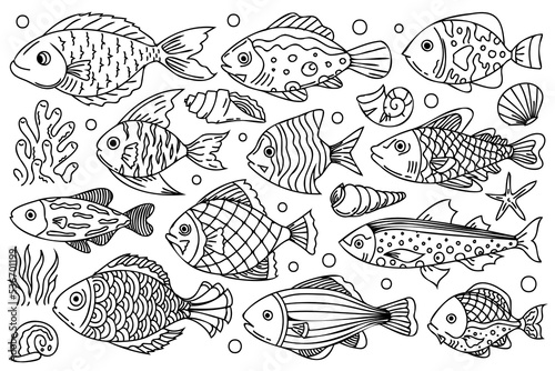 Underwater creatures bundle. Line art, outline fishes, shells and plants with black thin line. Cute sea fishes doodle line art, decorative, stylized illustrations for your design projects.