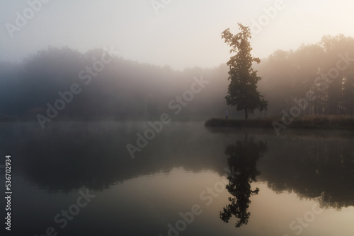 Young man in white hoodie standing on grass headland with lonely tree at morning misty fog. Tranquil Czech landscape © Space Creator