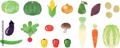 野菜セット