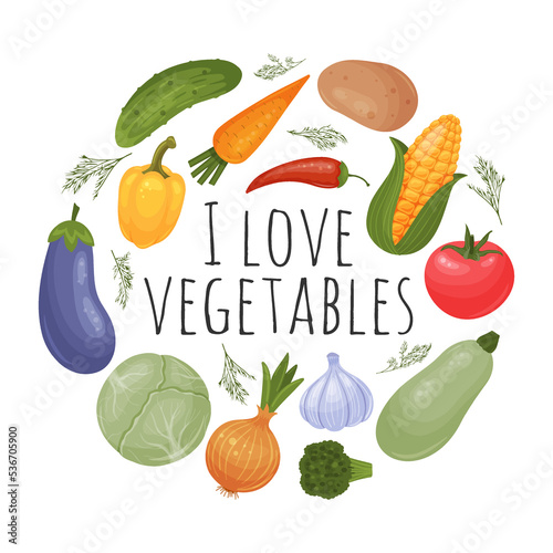 Vegetables in round form. Cucumber, tomato, onion, garlic, pepper, cabbage, potato, eggplant, carrot, corn, squash, broccoli. Food vector illustration. Isolated on white. Cartoon style.
