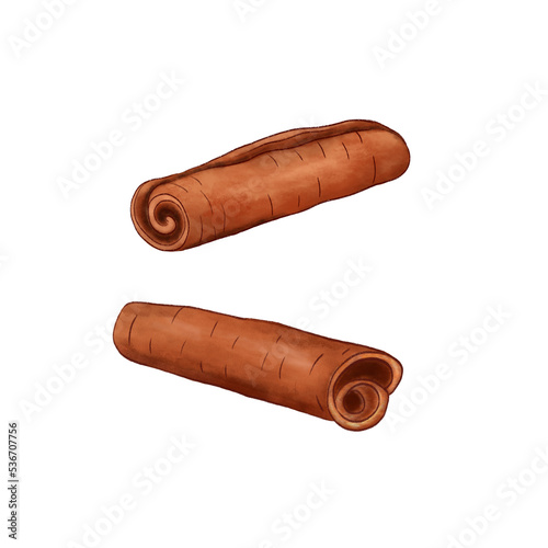 Cinnamon stick. Illustration on a white background. Watercolor style.