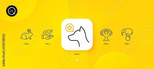 Lightweight, Winner cup and Veterinary clinic minimal line icons. Yellow abstract background. Animal tested, Elephant on ball icons. For web, application, printing. Vector