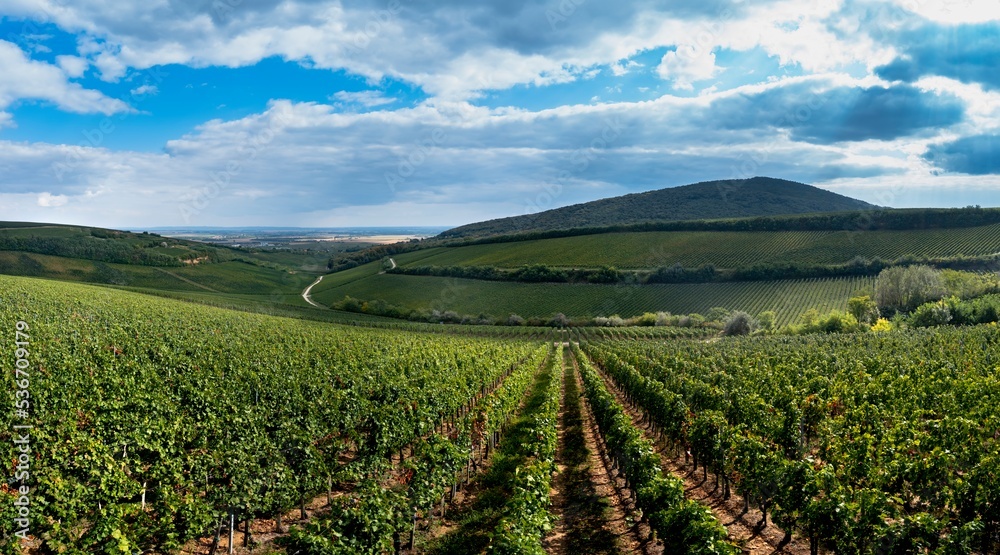 Tokaj wine region in Hungary aerial landscape panorama. Ordogarok.