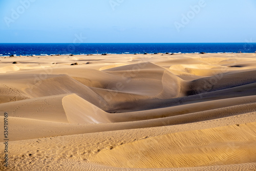 sand dunes in the desert and ocean