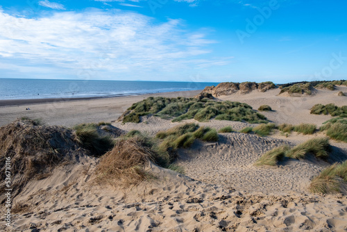 sand dunes in the beach