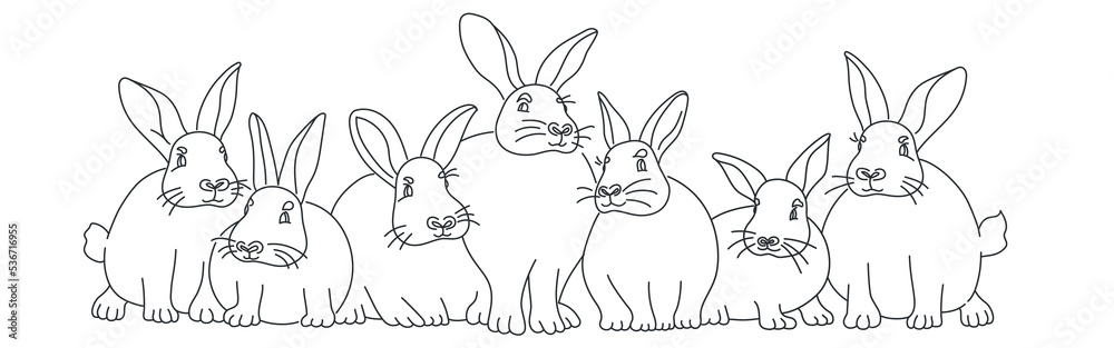Fototapeta premium Seven Rabbits are sitting together.