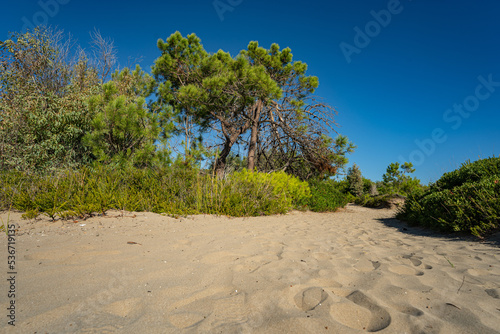 Kalamaki Beach Zakynthos photo