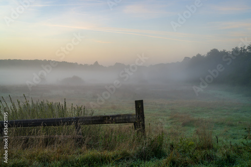 Nebel am Morgen