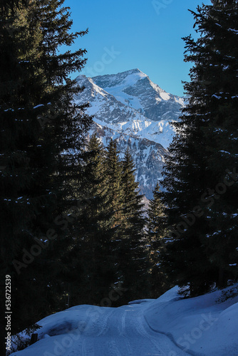 Montchavin photo