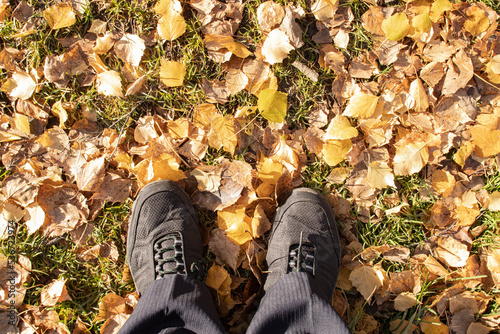 Man stands on autumn fallen leaves. Male legs in sneakers on a background of yellow leaves.