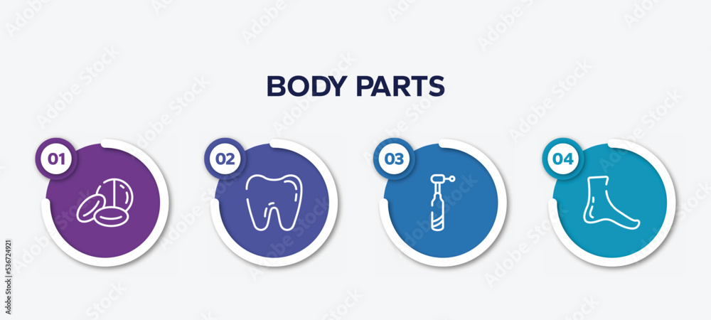 infographic element template with body parts outline icons such as drugs capsules and pills, tooth, dentists drill tool, foot side view vector.