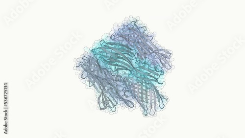 3D structure of a DNA sequencing nanopore protein - alpha-hemolysin from Staphylococcus aureus. This protein is part of a a third generation sequencing setup. photo