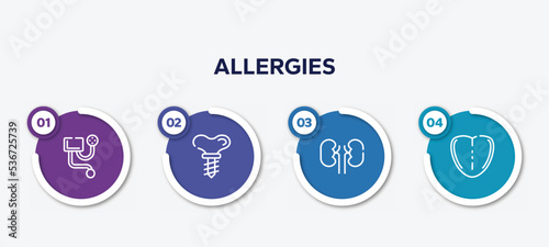 infographic element template with allergies outline icons such as blood pressure meter, dental implant, kidney, tongue vector.