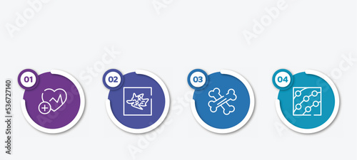 infographic element template with outline icons such as health, germ, bone, dermatitis vector.