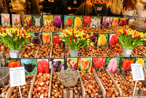 Fototapeta Naklejka Na Ścianę i Meble -  Amsterdam, Netherlands. October 2022. The floating flower market in Amsterdam.