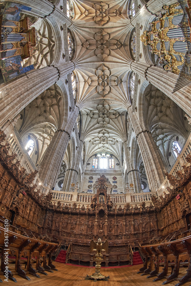 New Cathedral of Salamanca, Salamanca City, Spain, Europe.