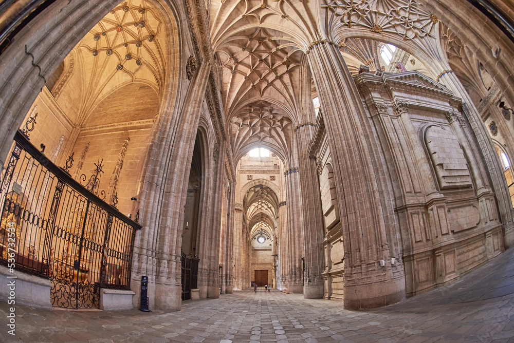 Obraz premium New Cathedral of Salamanca, Salamanca City, Spain, Europe.
