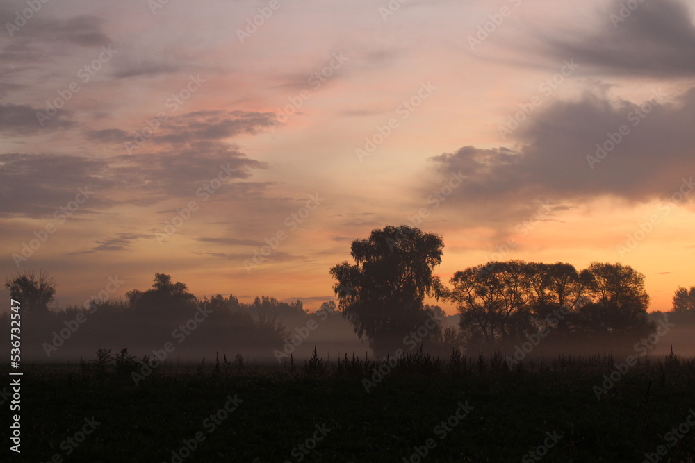 Fototapeta premium Piękny jesienny wschód słońca we mgle .