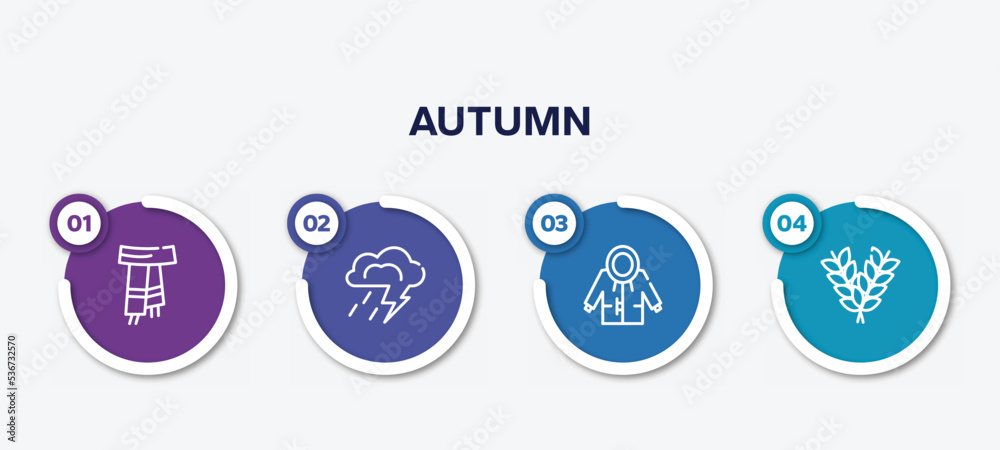 infographic element template with autumn outline icons such as scarf, storm, raincoat, rye vector.