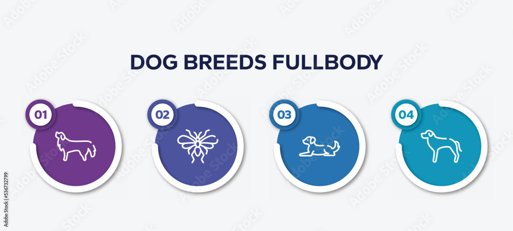 infographic element template with dog breeds fullbody outline icons such as bernese mountain dog, null, dog lying, rottweiler vector.