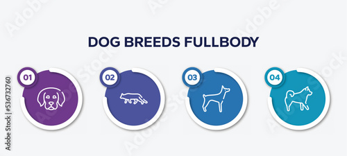 infographic element template with dog breeds fullbody outline icons such as dog puppy, snowshoe cat, doberman, malamute vector.