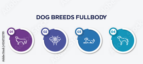 infographic element template with dog breeds fullbody outline icons such as bernese mountain dog, null, dog lying, rottweiler vector.