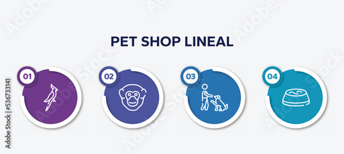 infographic element template with pet shop lineal outline icons such as nymphicus hollandicus, chimpanzee head, man and dog, water bowl vector.